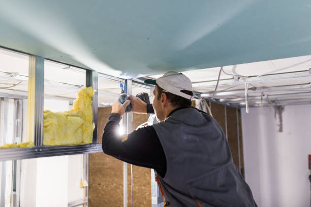 Best Insulation Inspection Services  in Abbeville, AL