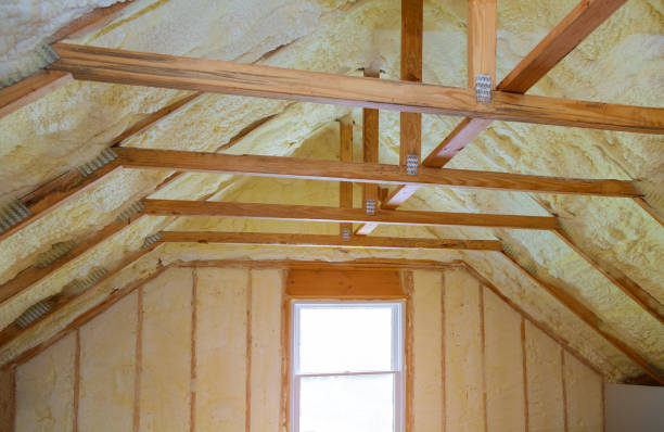 Best Home Insulation Services  in Abbeville, AL