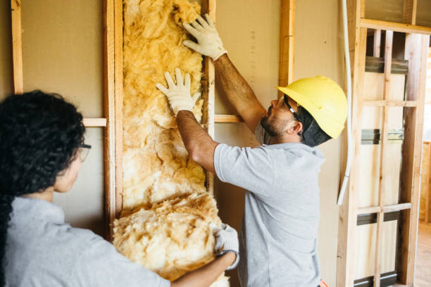 Insulation Inspection Services in Abbeville, AL