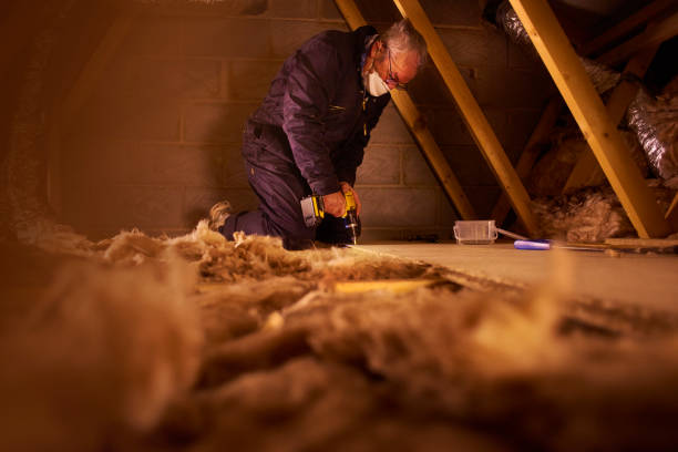 Trusted Abbeville, AL Insulation Contractor Experts